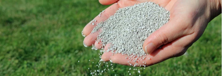 Hände streuen Dünger auf Rasen